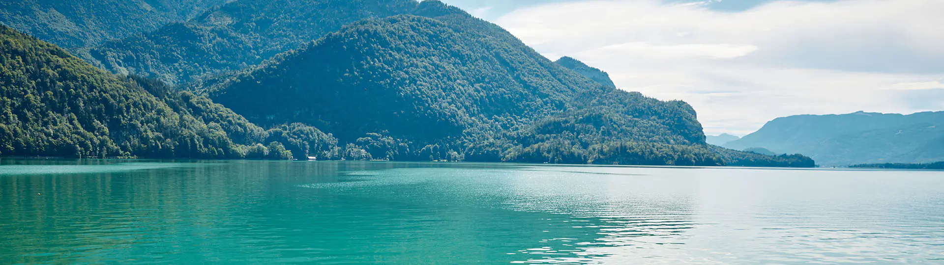 Header Natur See