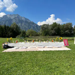 AFBA Picknick 2